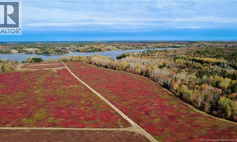 31.7 Acres Straight ...