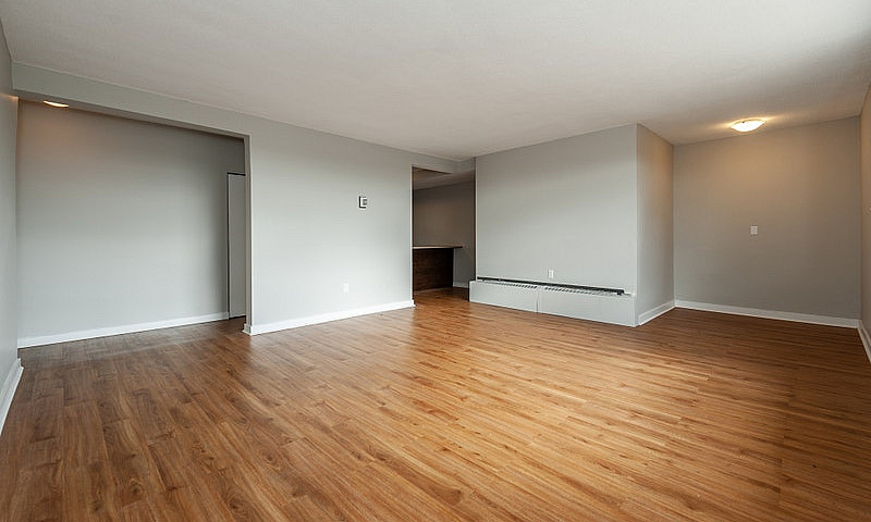 Renovated One Bedroo...