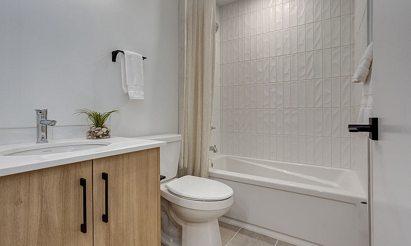 Modern 1-Bed Basemen...