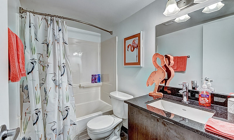 *Promo! 5 ½ - Luxury...