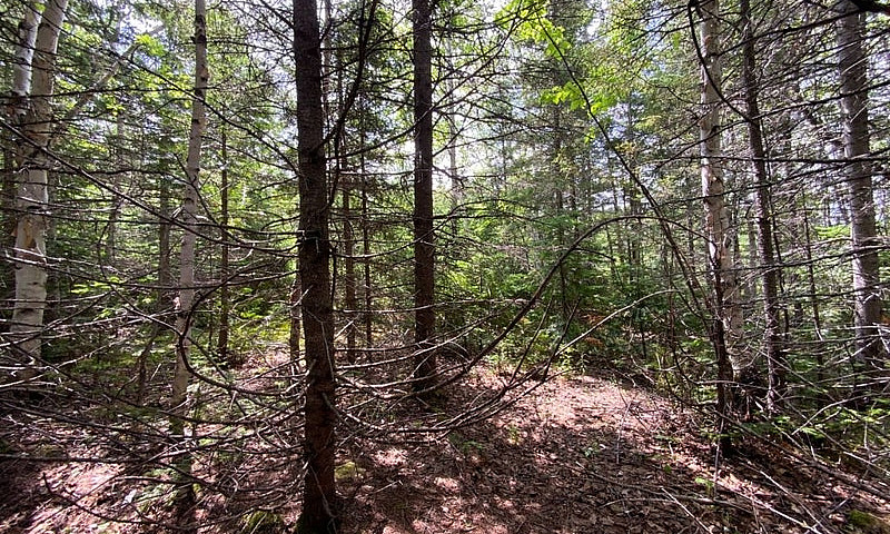 35 000$ - Terrain Ré...