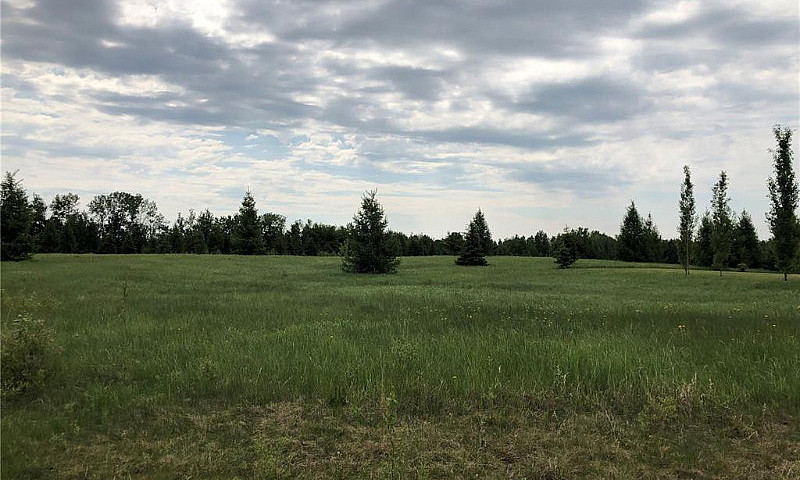1 Northern Meadows C...