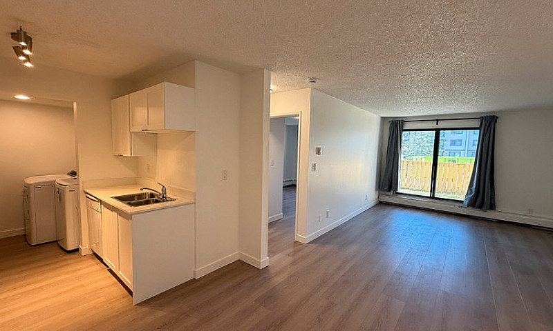 Modern 1 Bed 1 Bath ...