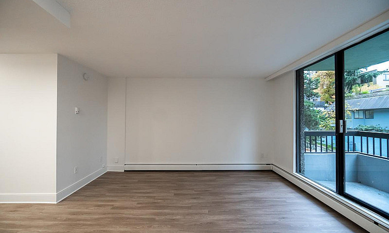 1 Bedroom Apartment ...