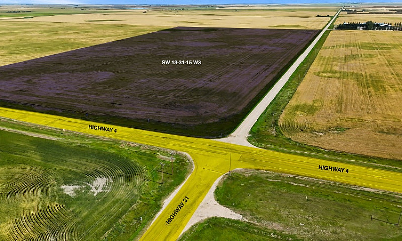 High Quality Farm La...