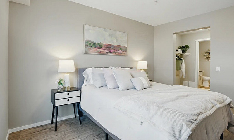 Pet-Friendly One Bed...