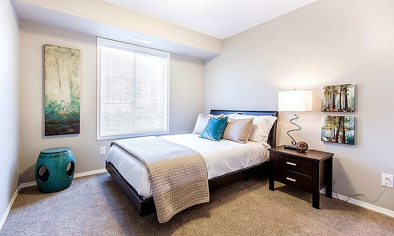 Pet-Friendly One Bed...