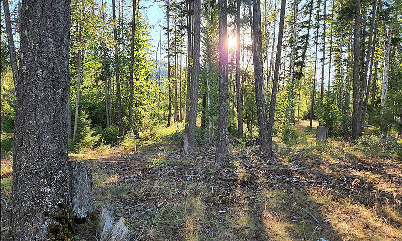 Vacant Lot For Sale!...