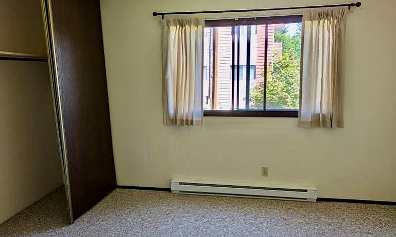 2 Bedroom 1 Bath - S...