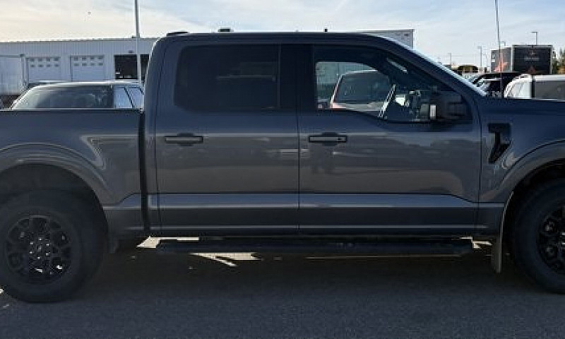 2025 Ford F-150 Xlt ...