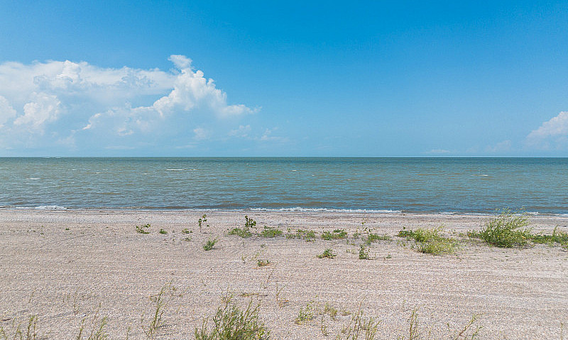 Lot For Sale: 1444 T...