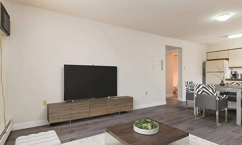 Modern Apartments Wi...