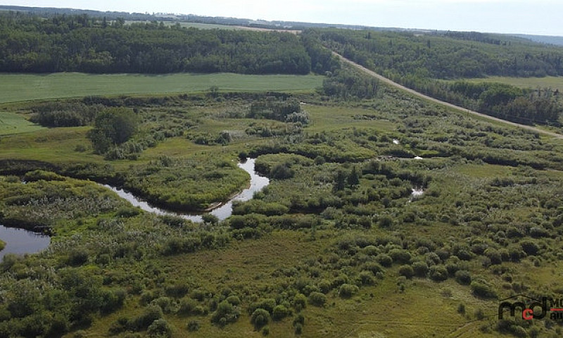 20306 43.9 Acre Grav...