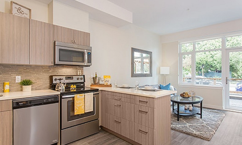 1 Bedroom Suites In ...