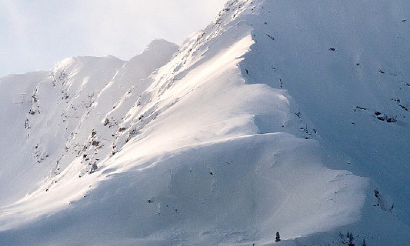 Kootenay Bc  Real Es...