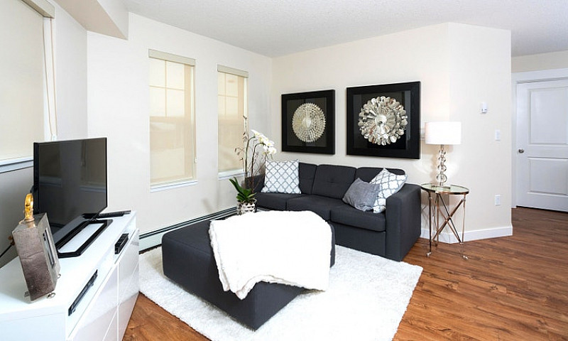 1 Bedroom - 30 Aubur...