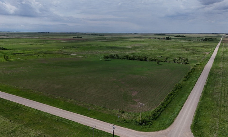 286 Acres & Yard Sit...