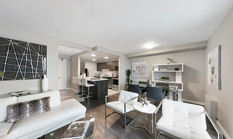1 Bedroom Apartment ...