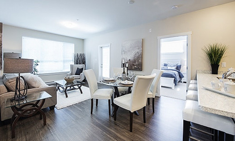 Bachelor Suites For ...