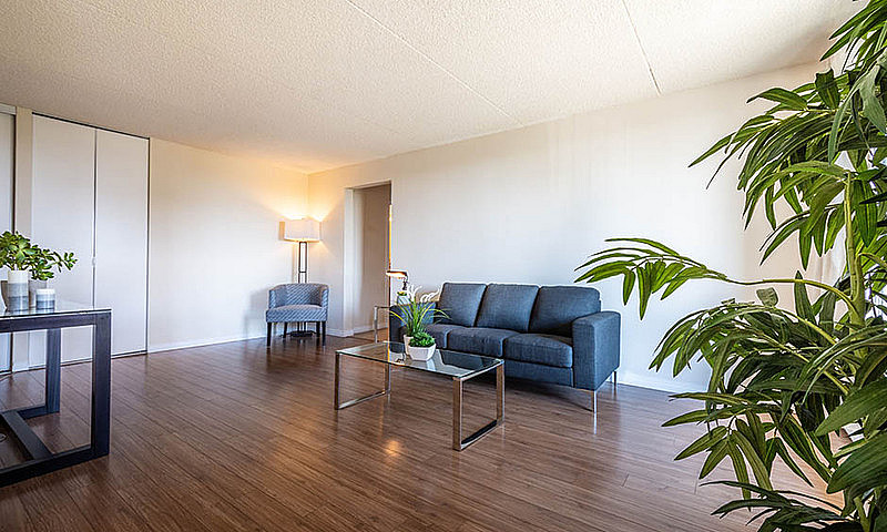1 Bed 1 Bath For Ren...