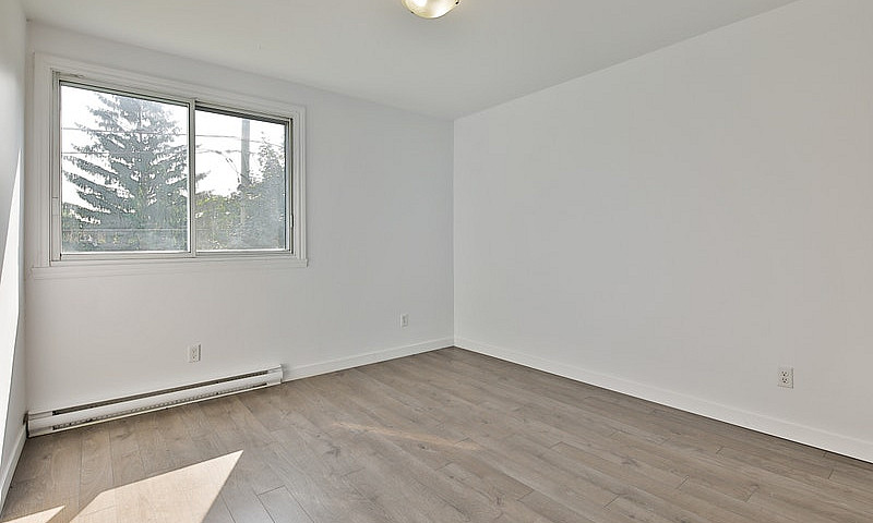 Grand 5½ Lumineux | ...