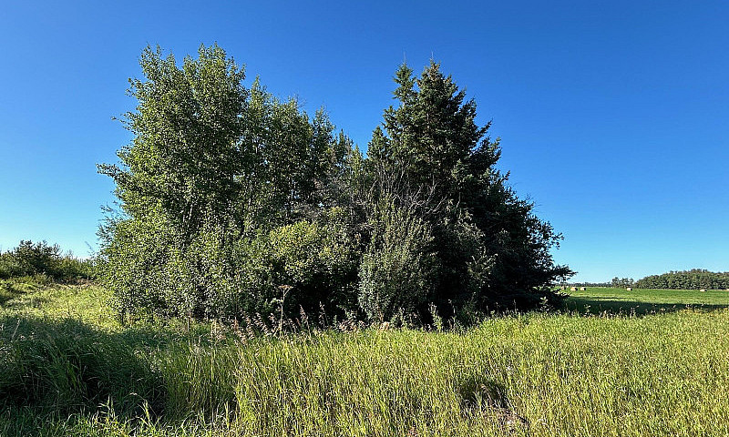 Rr 231 Twp Rd 602 Ru...