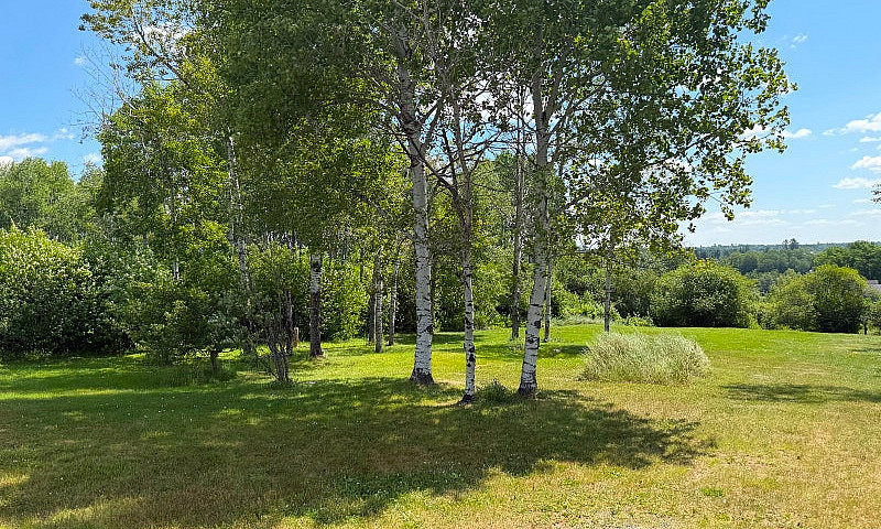 1-Acre Building Lot ...