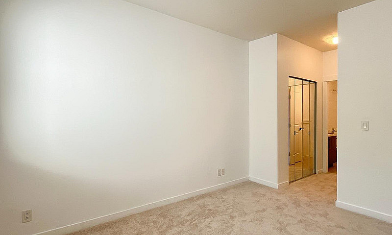 217 2943 Nelson Plac...