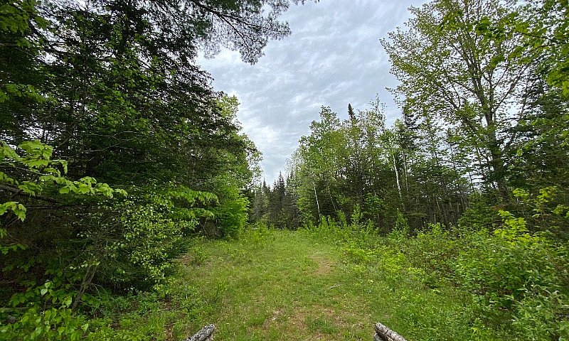 Beautiful 5 Acre Lot...