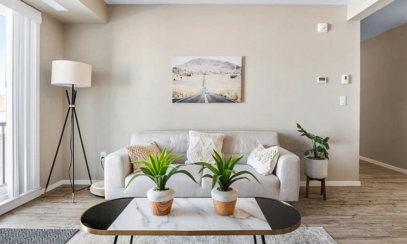 Pet-Friendly Three B...