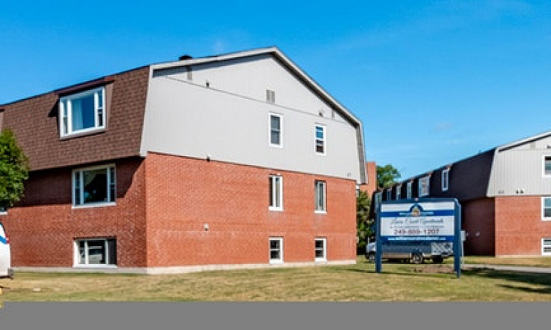 1 Bedroom Apt All In...