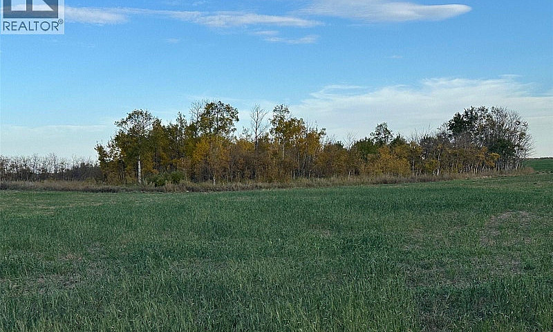 Lybeck 80 Acres Corm...