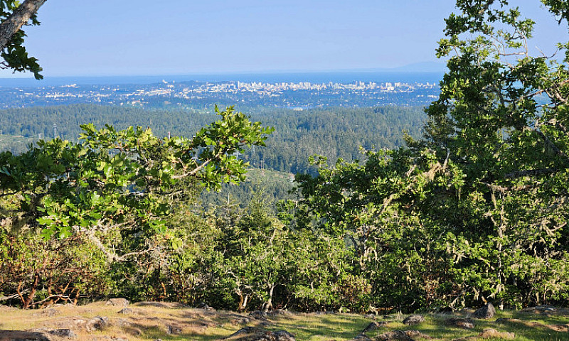 Elevated Acreage Wit...