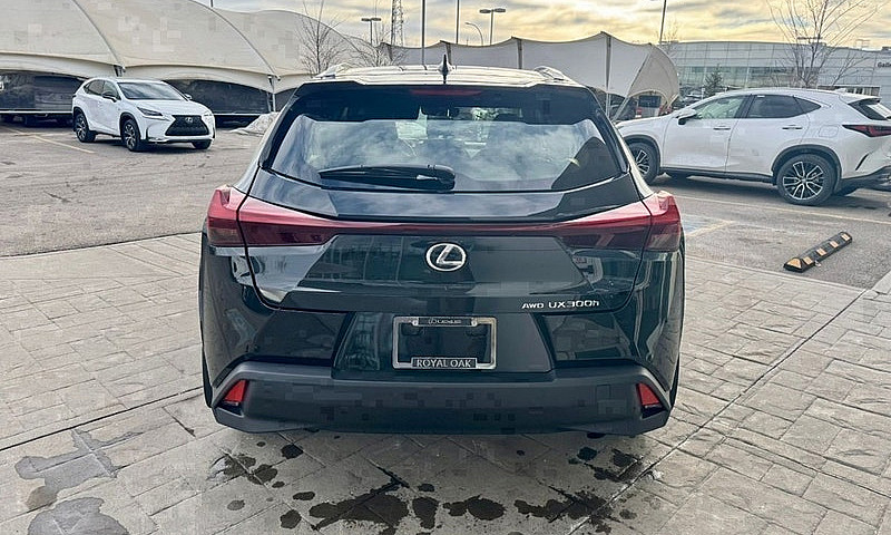 2025 Lexus Ux...
