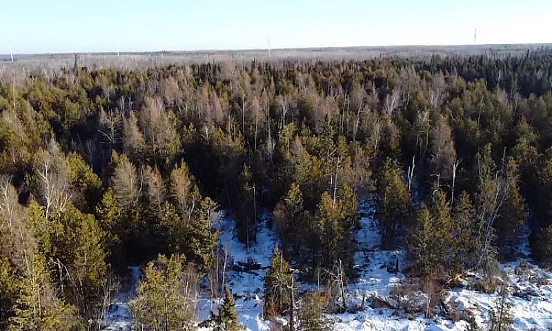 160 Acres In Sundown...