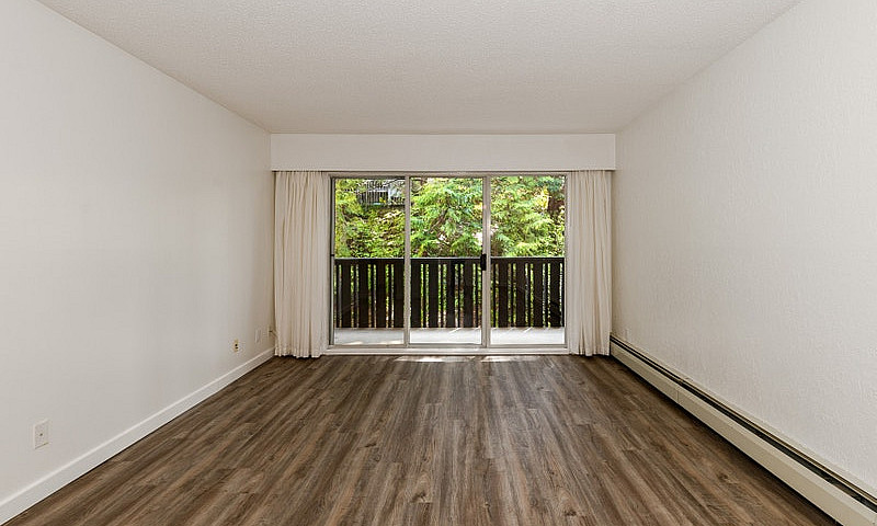 1 Bedroom Apartment ...