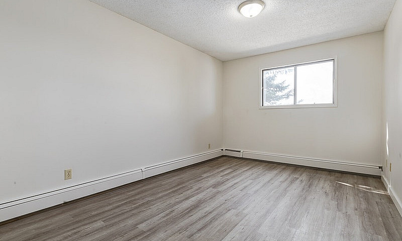 Modern Apartments Wi...
