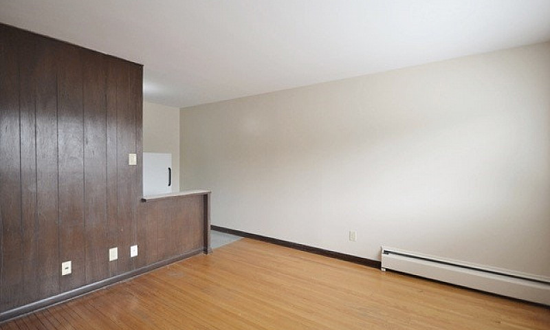 Large 1 Bedroom In T...