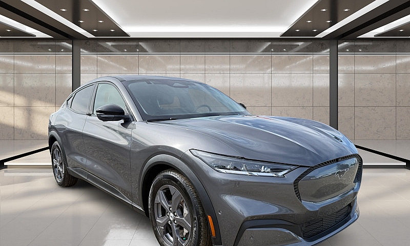2023 Ford Mustang Ma...