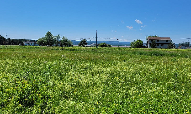 Lot For Sale, Memram...