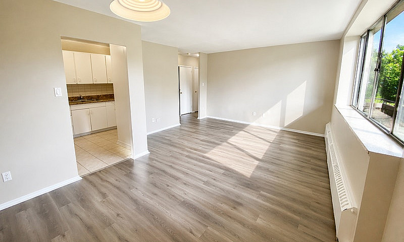 1 Bedroom Apartment ...