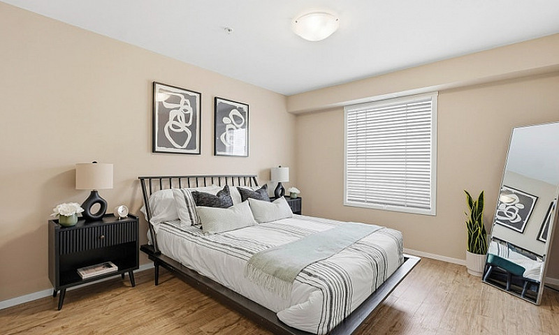 Pet-Friendly One Bed...