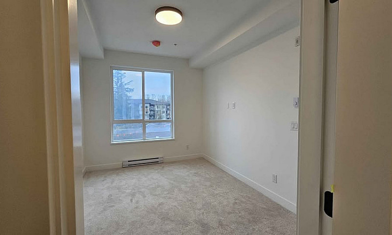 Luxury Penthouse 2 B...