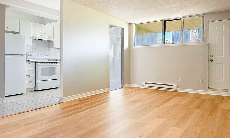 Oshawa 1 Bedroom Apa...