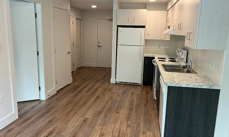 1 Bedroom Apartment ...