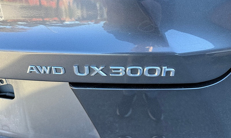 2025 Lexus Ux Ux 300...