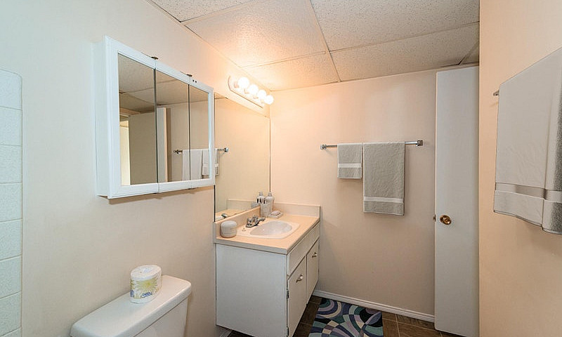 1 Bedroom - 5207 39 ...