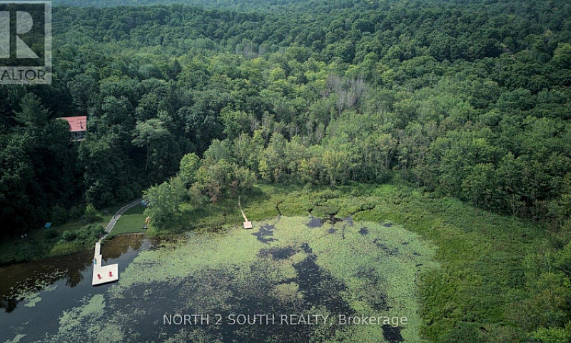 28 Woodland Drive Se...