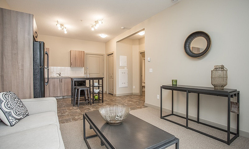 One Bedroom With Ame...
