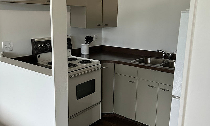 Pet-Friendly Apartme...